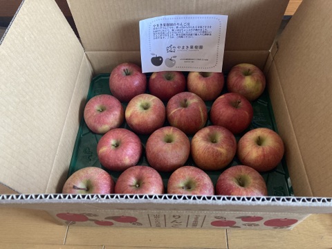 「家庭用」葉取らずふじりんご🍎5キロ箱23個入りです。