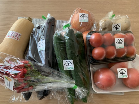 定期便設定（お届け日は２～３日前後します）【たっぷりいろいろ　２０００円セット】農家人が選ぶ旬野菜のおまかせセットです。季節ごとの旬の世界農業遺産ブランド野菜を厳選してお届け致します。