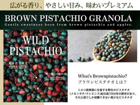 無添加グラノーラ 味わいプレミアム！ブラウンピスタチオと信州りんごのコラボ 長野市 2025年産サンふじ使用 りんご生産農家直送 化学肥料不使用 除草剤不使用 人にやさしく環境にもやさしい農産物