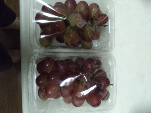 【家庭用】クイーンルージュ 約800g 長野名産・皮ごと食べられる種無しぶどう。お得な訳あり品、家庭用に 産地直送で10月上旬頃から#NGR0B008