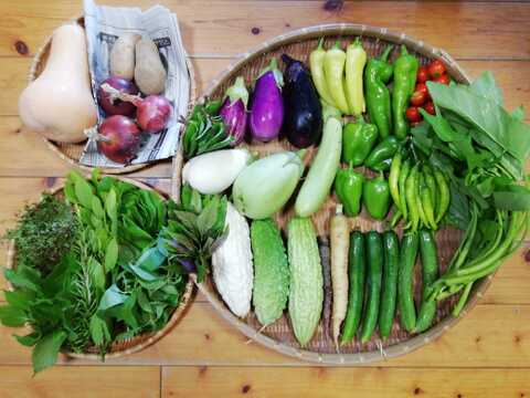 【農薬・化学肥料不使用】４種類以上のハーブ入り野菜セット【８種類以上の野菜】【金曜日発送】【あわせ買い可】【熨斗(のし)対応可】【８０サイズ箱】