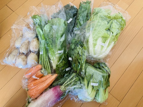 ギュッとお得用セットＭサイズ(約10品)
