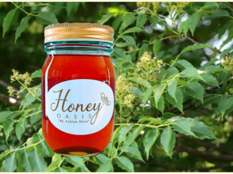 【非加熱･無添加】健康志向の方に！国産はちみつ　きはだ　500g