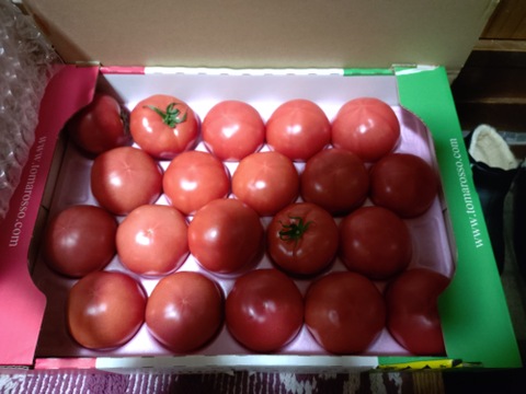 完熟トマロッソトマト　大箱(約4㎏)