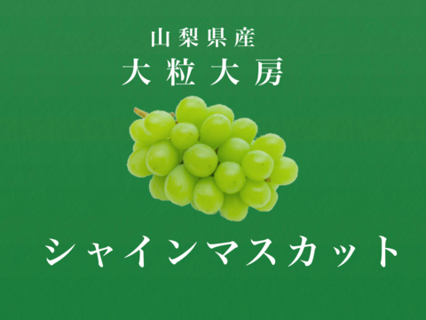 【はじける香り！甘ジューシー】南アルプス産＜大粒大房＞シャインマスカット２房