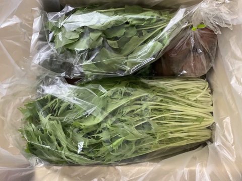 旬の野菜セット７～8品【栽培期間中農薬・化学肥料不使用】