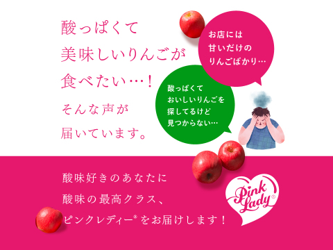 発送中🍎ヒルナンデスでました！】ピンクレディー®︎ 10キロ訳あり品 加工用にご利用ください！長野県 信州 安曇野 リンゴ 幻 幻のリンゴ 予約 希少 旬 ID62476 ピンクレディー