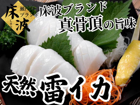 【誤魔化しの効かない質】長州床波基準で選び抜かれた🌊天然国産『雷イカ』長州床波ブランド大容量パッケージ約約400g【5月中旬予約】