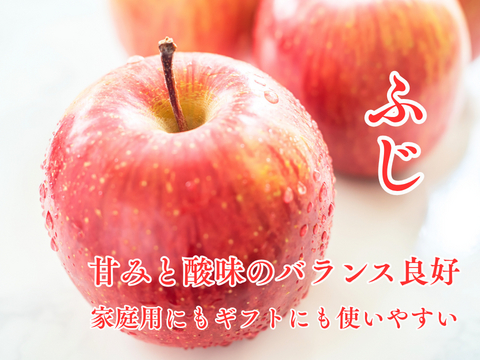 【200円引き中！】りんご ふじ 家庭用 約16から20玉 スッキリ美味しい 5kg  さんふじ リンゴ スイーツ 果物 リンゴ フジ サンふじ 秋田