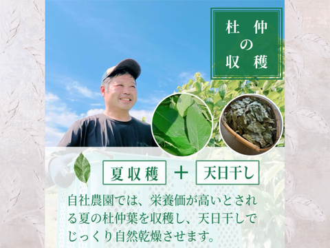 こころとカラダに、おいしい杜仲茶 ペットボトル（500ml×24本）
これが杜仲茶｜ノンカフェイン・農薬不使用（栽培期間中）伏流水で低温抽出。まろやか自然派茶。