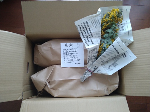 【令和7年度産】【玄米5kg×2袋/農薬不使用】 クセのない甘味と旨さ！熊本県菊池市産くまさんの輝き