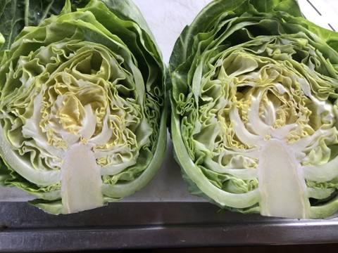 冷蔵便★平さんちのグリーンボール※6個入り★100㎝サイズ満杯