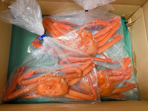 富山の味覚の女王！紅ズワイガニ　お得な1.2Kgセット（中小サイズ3杯）