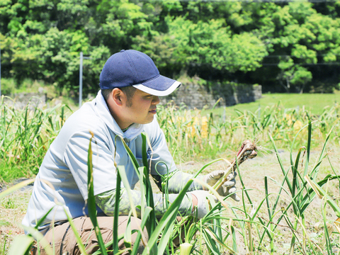 熊野の山々に囲まれ、清流古座川に育まれた土地で作る［農薬不使用・化学肥料不使用］のにんにく（2kg）