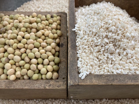 白米糀手作り味噌仕込みセット（塩無し）　仕上がり3kg  農薬化学肥料不使用栽培