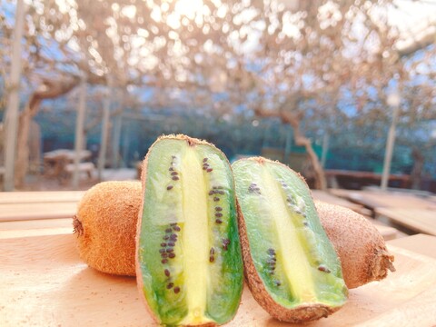B級品の熟成したおいしい静岡県産香緑キウイSサイズセット