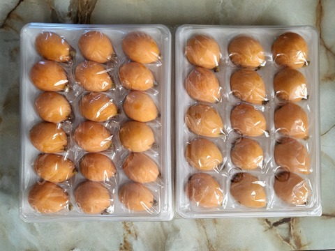 袋掛け栽培！愛知弥富びわ『茂木』12～18ヶ入り×2P　専用化粧箱入り