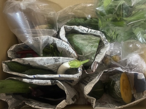 〈販売再開しました〉【京都美山】田歌舎 お野菜詰め合わせ【循環農法】