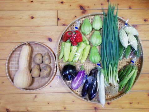 【農薬化学肥料不使用】ハヤトウリ入り野菜セット【８種類以上の野菜】【あわせ買い可】【熨斗(のし)対応可】（８０サイズ箱）