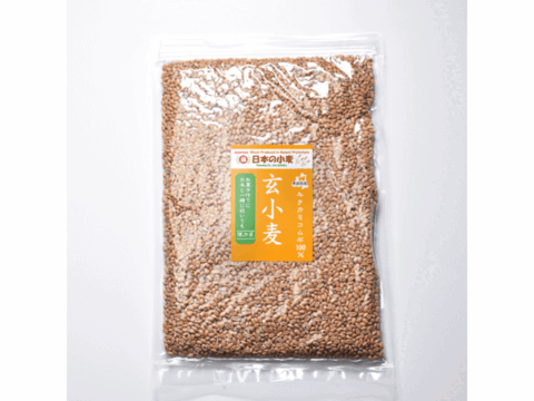 キタ玄粒 玄小麦 薄力系 4kg 800g×5 青森県産単一品「キタカミコムギ」100％ 日本の小麦 国産小麦 国産玄麦