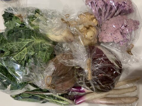 旅する畑から届く、季節の彩り野菜セット（7-8種類）