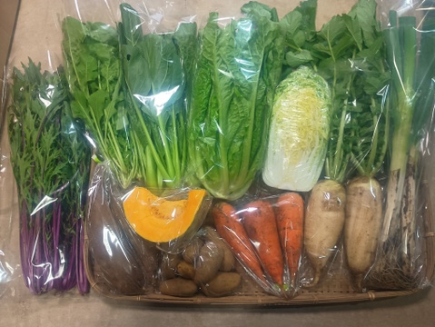 【10日分の野菜！】旬の野菜セット9～12品【農薬・化学肥料不使用】