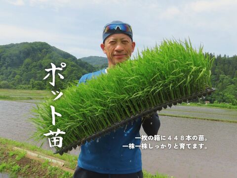【農家直販！】令和7年産 魚沼産こしひかり玄米30kg