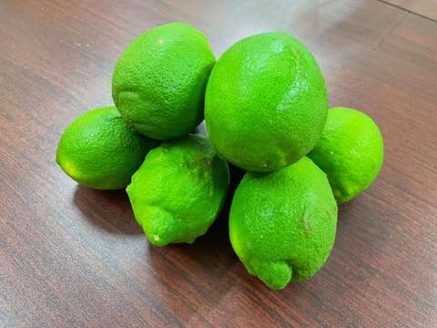 皮ごとどうぞ！瀬戸内の太陽を浴びた広島県産グリーンレモン「璃の香」(3kg/約21~30個)