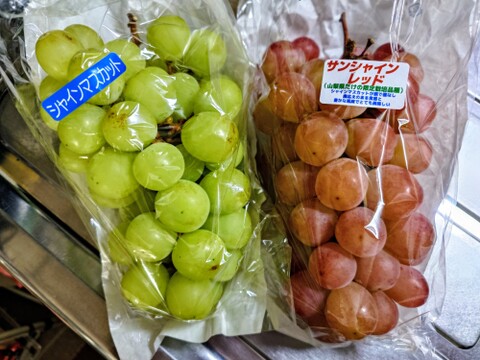予約受付【新品種】サンシャインレッド&シャインマスカット　皮ごとパリッ！