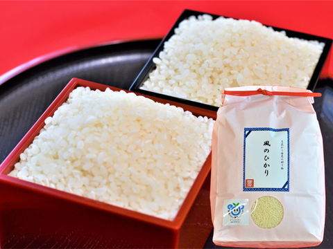 【令和7年産】毎日5合なら約26日分！茨城県産コシヒカリ　風のひかり20kg（5kg×4袋）