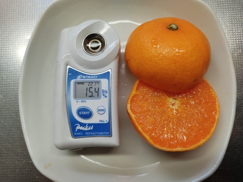 弁当のお供に　つぶらなせとか  箱込み4.5キロ