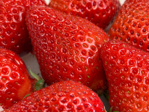 福岡県特産「あまおう」1kg 大粒！福岡県エコ農産物認証・こだわり栽培！