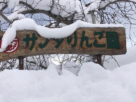 近年大人気！　蜜が入りやすく、パインの様な味わい　“こうとく”　家庭用　約3キロ　限定再販売！