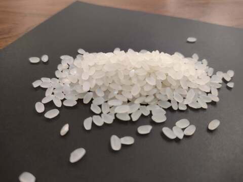 令和3年産　幻の米と言われるハツシモ（白米　約4.5Kg）