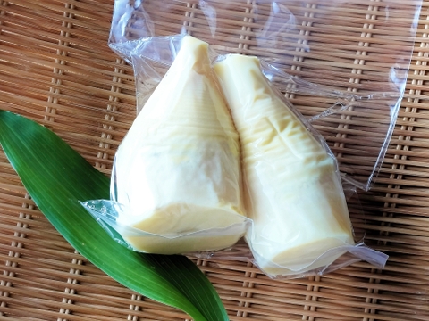アク抜き不要！岡山県産【やわらか水煮たけのこ】🉐約1kg（500g×2パック）朝堀り・新鮮✨