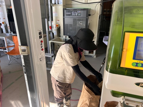 岐阜のお米！  ハツシモ   令和7年産　白米５㎏