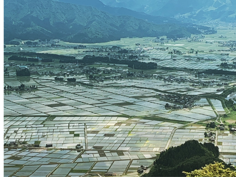 【母の日ギフト】【特別な人へ】新潟県南魚沼100％塩沢産　こしひかり     5ｋｇ　【食べチョクアワード受賞✨】
