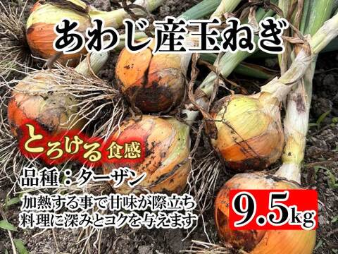 有機肥料栽培　あわじ産 品種：ターザン M-Lサイズ 中玉 大玉サイズおまかせ9.5kg　加熱すると甘みが増し煮込み料理や炒め物に最適。貯蔵性にも優れており、幅広い料理で活躍。ひょうご安心ブランド認定
