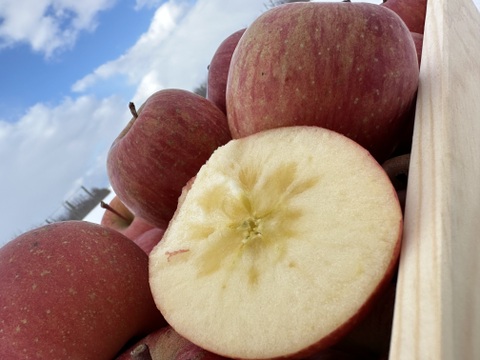 りんごの食べ比べBOX🍎約3kg箱　9〜12玉入