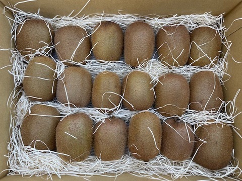 【農薬不使用】キウイフルーツ　良品18個入り