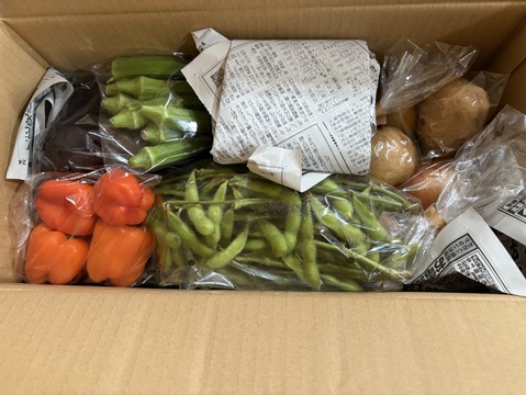 Mサイズ ＊旬野菜セット(約8~9品)【農薬：栽培期間中不使用】
