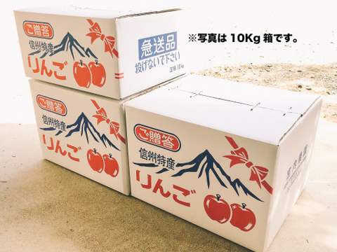 大人気！【サンふじ】3Kg （7～9玉）