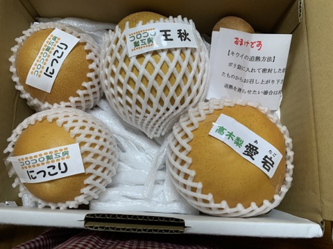 【旬の梨食べ比べ‼️3～5品種】何が届くかお楽しみ😋贈答用2.5kg以上、豊水・あきづき・かおり・あきあかり・二十世紀・南水・にっこり・新高・王秋・新興・愛宕の中から3品種以上詰め合わせます‼️