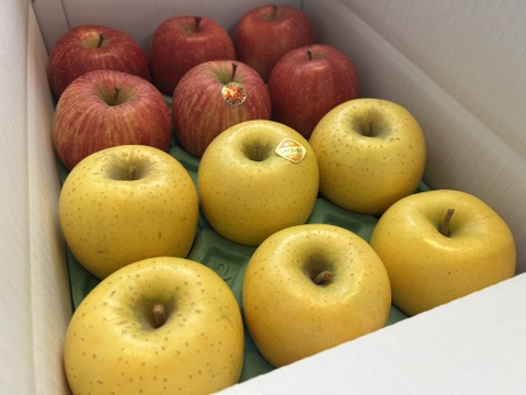 【家庭用】サンふじ＆シナノゴールドの詰め合わせセット 小玉　約3kg(11～14個)