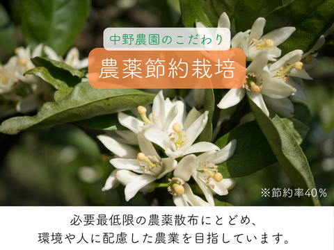 超ジューシー！ゆら早生 有田みかん 3ｋｇ 家庭用