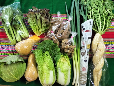 お楽しみ★農園自慢の情熱野菜セット　14袋　発送タイミングおまかせ　フードロス対策　パチャママ農園