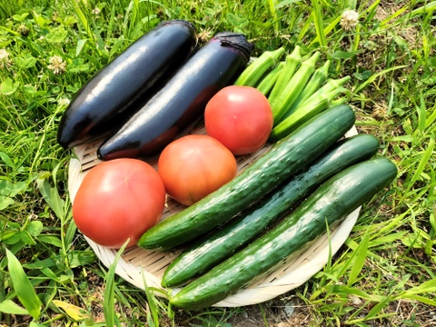 四季彩の旬野菜セット（4種類以上）