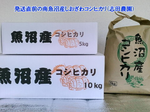 少し小粒な南魚沼産コシヒカリ無洗米(乾式)5kg令和3年産