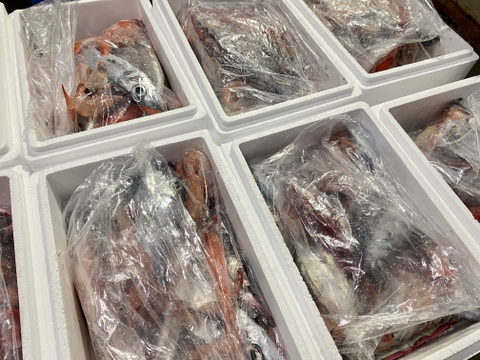 5月先行販売【ガチャ！】何が入っているかわからないおかず１セット