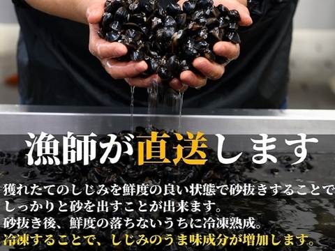 大粒で食べやすい！冷凍しじみＬサイズ3.6ｋｇ（900ｇ×4）砂抜き済み 島根県宍道湖産 味噌汁72杯分